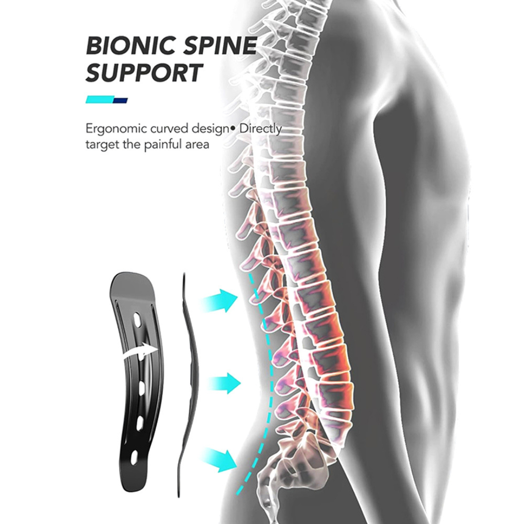 FlexAlign Lumbar Support Belt – Relieves Back Pain & Improves Posture - Back Support Belt Readi Gear
