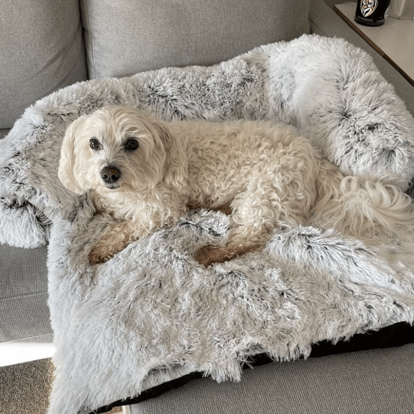 Calming Dog Bed & Sofa Cover - Waterproof & Anti-Anxiety Design - dog bed Readi Gear