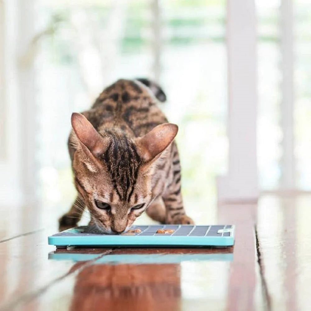 Lickimat Soother Pet Treat Mat, Ideal for Stress Relief & Dental Health - Pet Treat Mat for stress relief and dental health Readi Gear