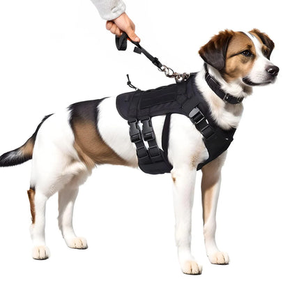 Tactical & Durable MOLLE Dog Harness w/6 Metal Buckles