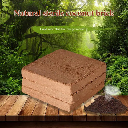 Organic Coconut Coir Brick - Sustainable Growing Medium for Healthy Plants
