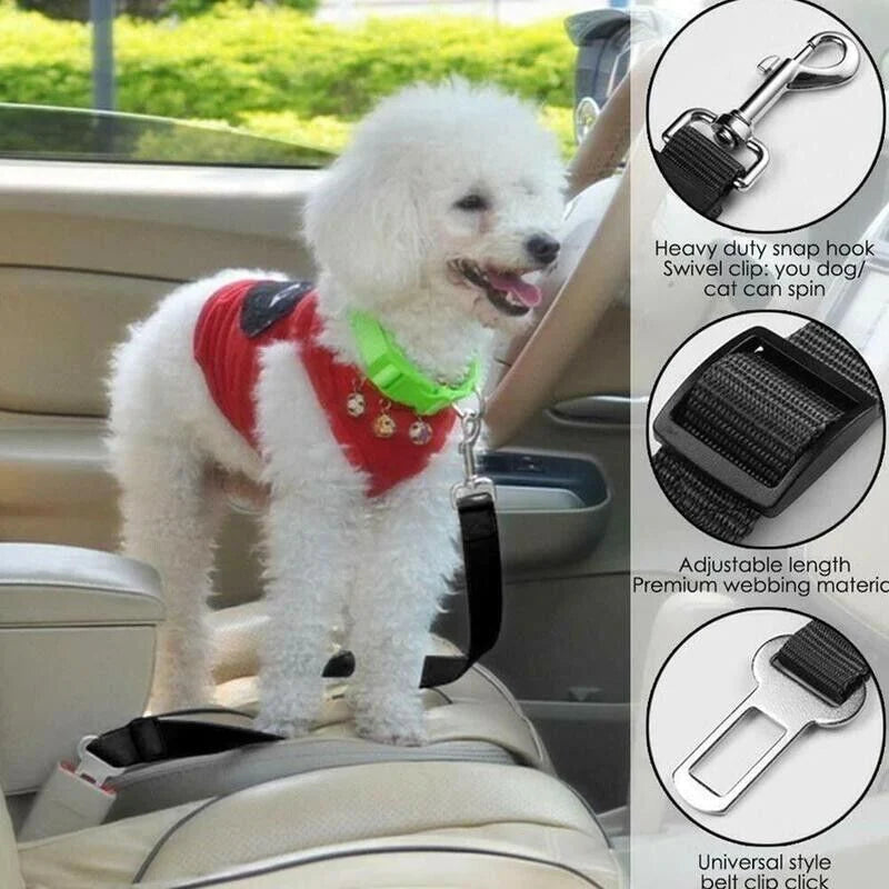 PetSecure Adjustable Seatbelt Harness – Car Safety Lead (2 Pack)