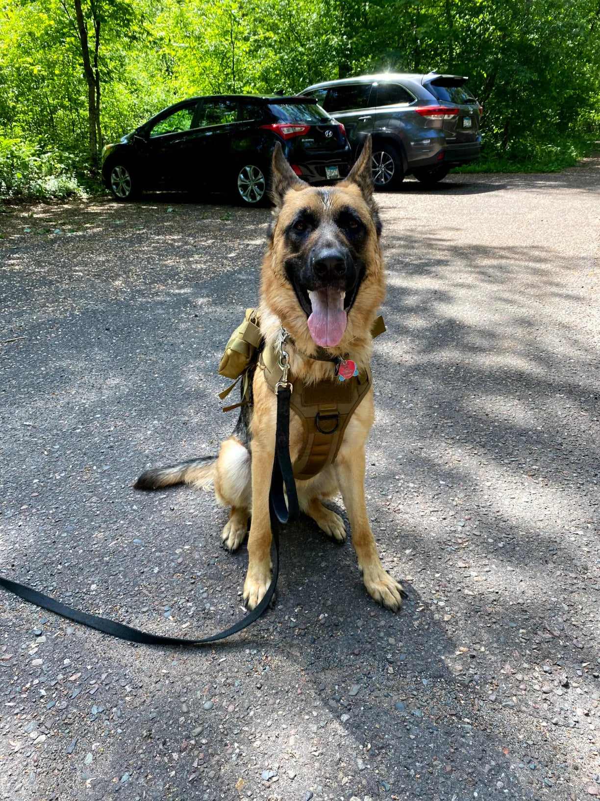 Tactical & Durable MOLLE Dog Harness w/6 Metal Buckles