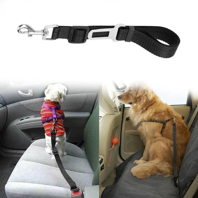 PetSecure Adjustable Seatbelt Harness – Car Safety Lead (2 Pack)