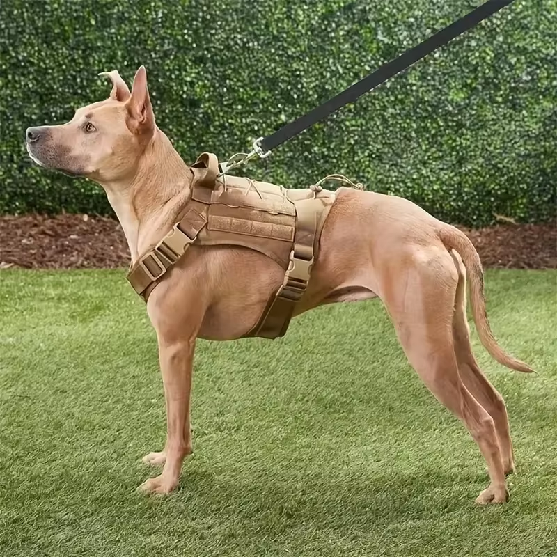 Elite K9 Tactical Dog Harness - MOLLE System & Quick Release