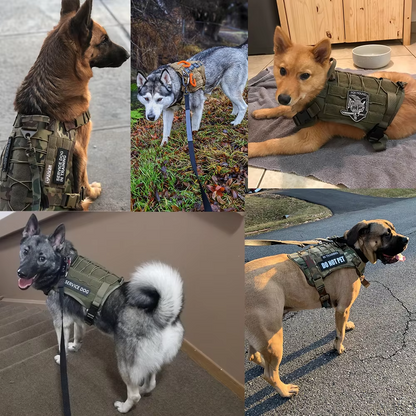 Elite K9 Tactical Dog Harness - MOLLE System & Quick Release