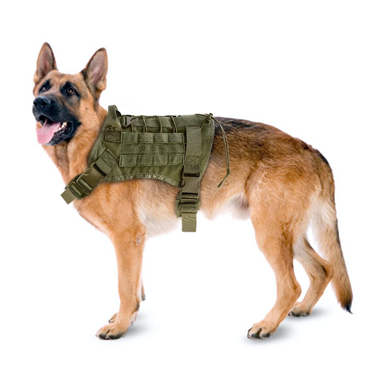 Elite K9 Tactical Dog Harness - MOLLE System & Quick Release